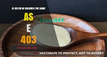 Gelatin in Vaccines vs. E441: Clarifying the Confusion