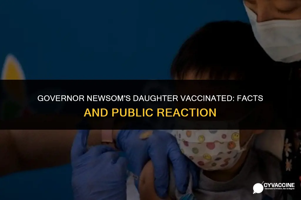 is governor newsom