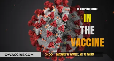 Exploring the Role of Graphene Oxide in COVID-19 Vaccines: Facts and Myths