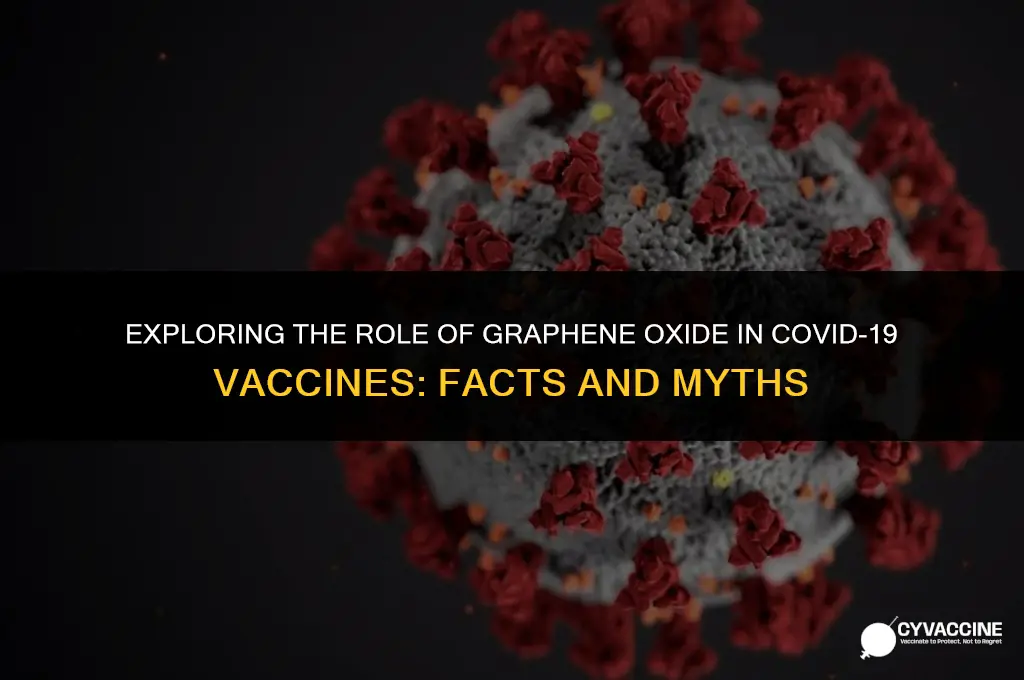 is graphine oxide in the vaccine
