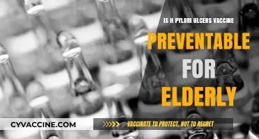 Preventing H. Pylori Ulcers in the Elderly: Vaccine Possibilities