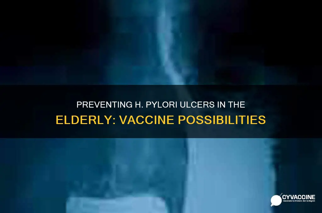 is h pylori ulcers vaccine preventable for elderly