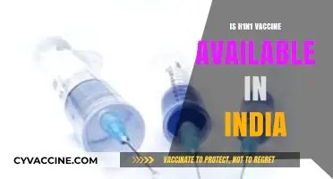 H1N1 Vaccine Availability in India: A Comprehensive Update