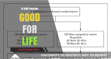 Boosting Immunity for Life: The Longevity of H1N1 Vaccine Protection