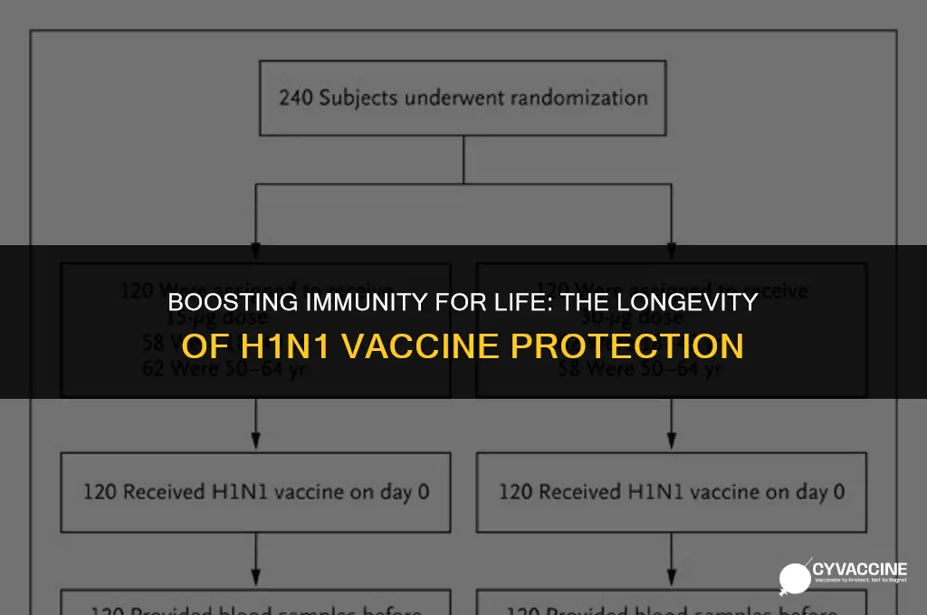 is h1n1 vaccine good for life