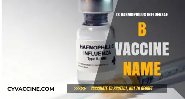 Understanding Haemophilus Influenzae B Vaccine: A Comprehensive Guide