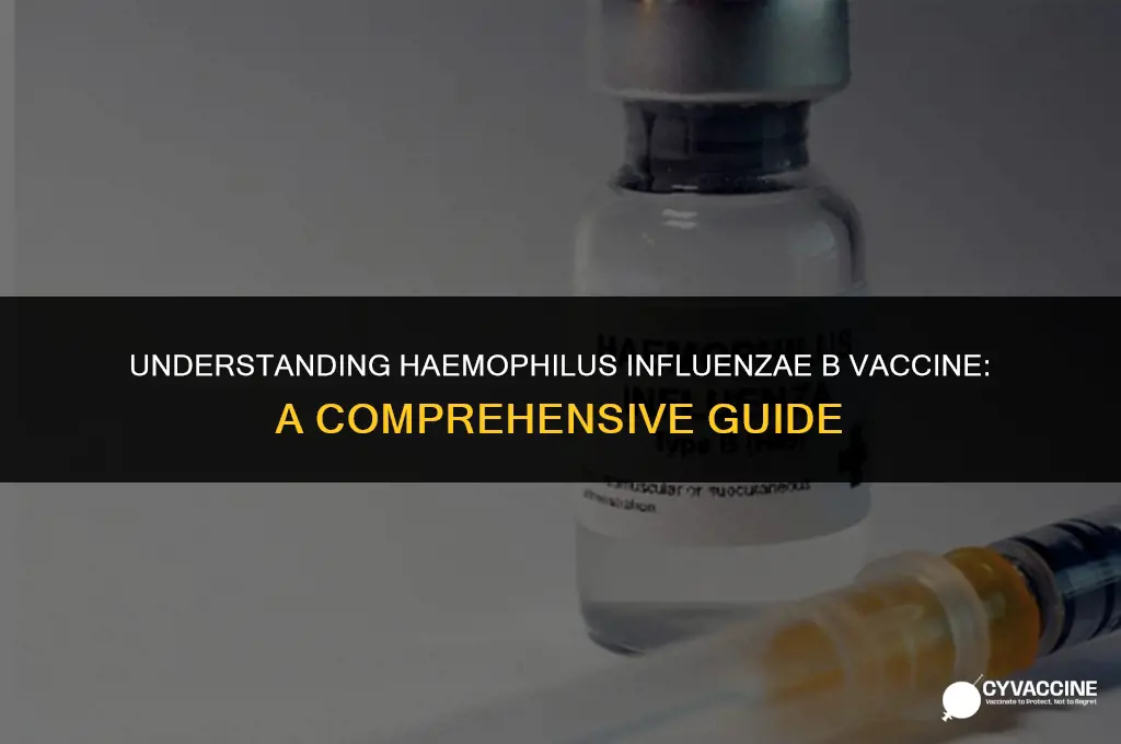 is haemophilus influenzae b vaccine name