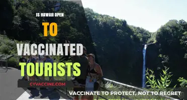 Hawaii Welcomes Vaccinated Tourists: Everything You Need to Know