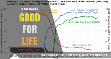 Lifelong Immunity: The Truth About HBV Vaccine Efficacy