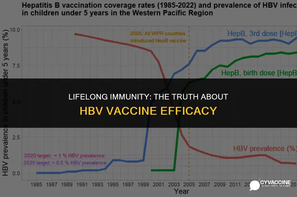is hbv vaccine good for life