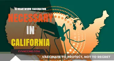 Is Heartworm Vaccination Necessary in California?