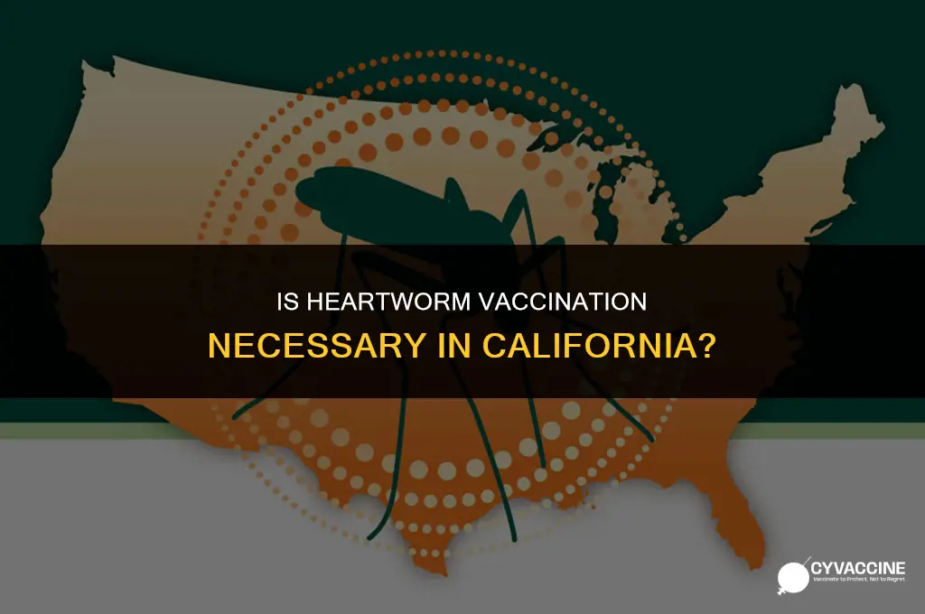 is heartworm vaccination necessary in california