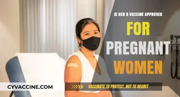Is the Hep B Vaccine Safe for Pregnant Women? Expert Insights