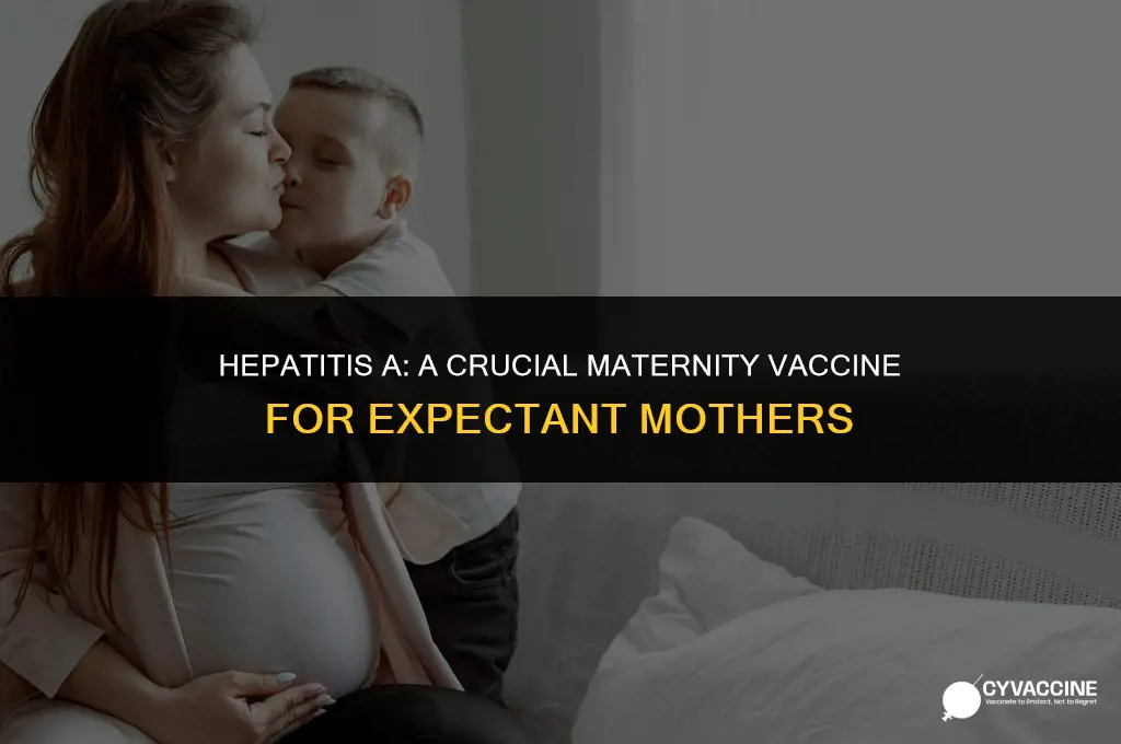 is hep a a maternity vaccine