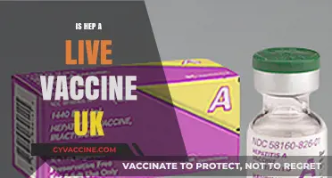 Understanding Hepatitis A Live Vaccine in the UK: Facts and Myths