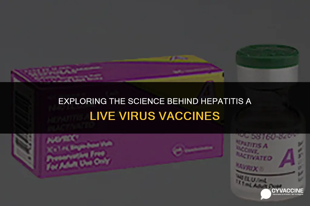is hep a live virus vaccine