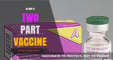 Understanding Hepatitis A Vaccination: Is It a Two-Part Process?