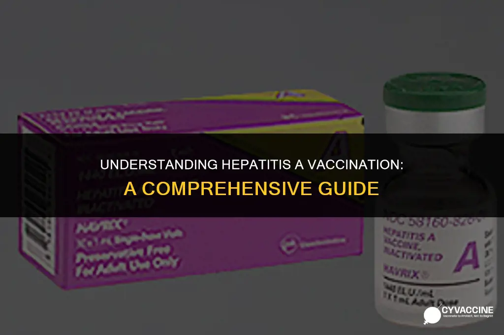 is hep a vaccine 3 shots