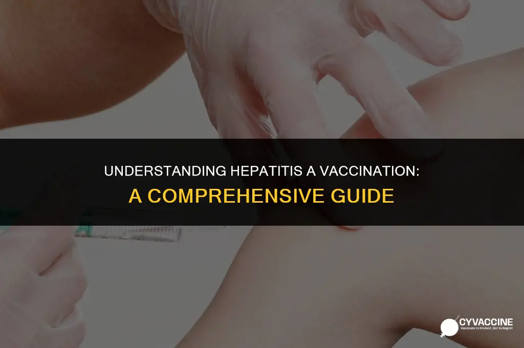 is hep a vaccine a series