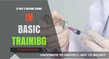 Hepatitis A Vaccine: Essential Component of Basic Training Protocols?