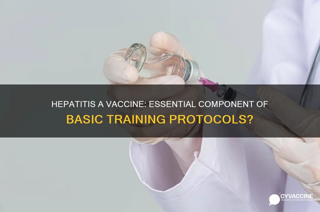 is hep a vaccine giving in basic trainibg