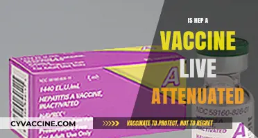 Understanding Hepatitis A Vaccines: Live Attenuated or Not?
