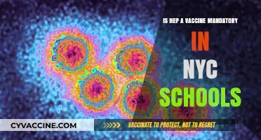 Is the Hepatitis A Vaccine Mandatory in NYC Schools?