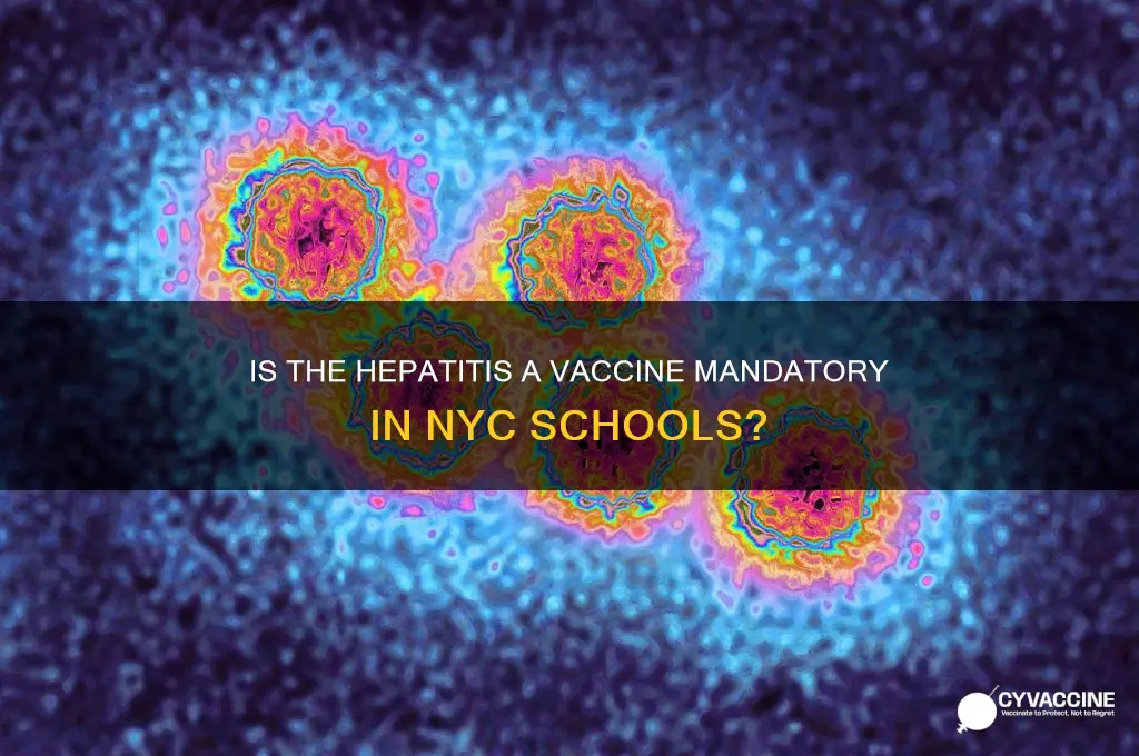 is hep a vaccine mandatory in nyc schools