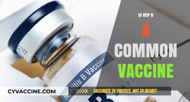 Understanding Hepatitis B Vaccination: Common or Not?