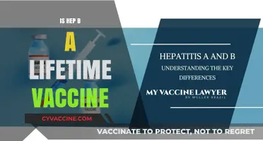 Lifetime Immunity: The Truth About Hepatitis B Vaccination