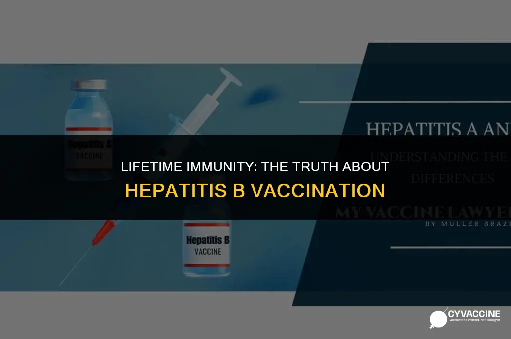 is hep b a lifetime vaccine