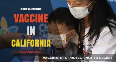 Is Hepatitis B a Routine Vaccine in California? What You Need to Know