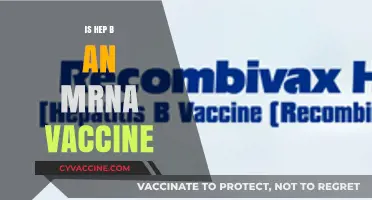 Exploring Hepatitis B: The mRNA Vaccine Connection