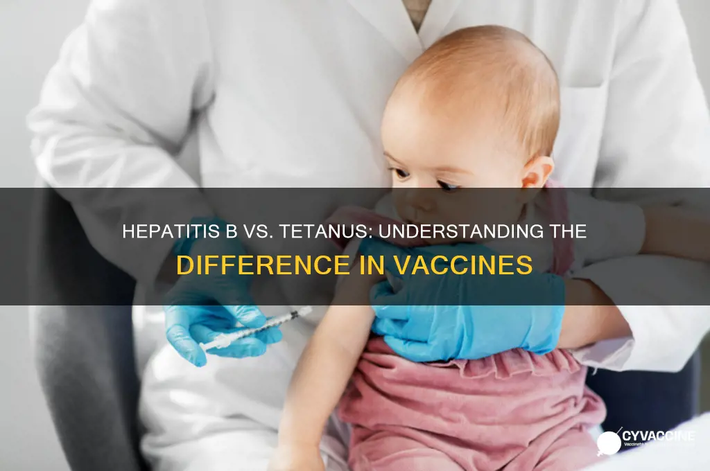 is hep b the same vaccine as tetanus