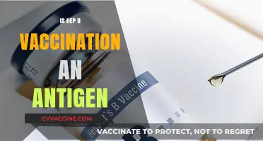 Exploring Hepatitis B Vaccination: Antigen or Not?