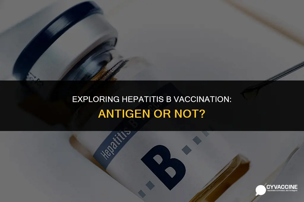 is hep b vaccination an antigen