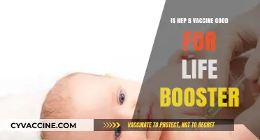 Hep B Vaccine Lifelong Immunity: Do You Need a Booster?