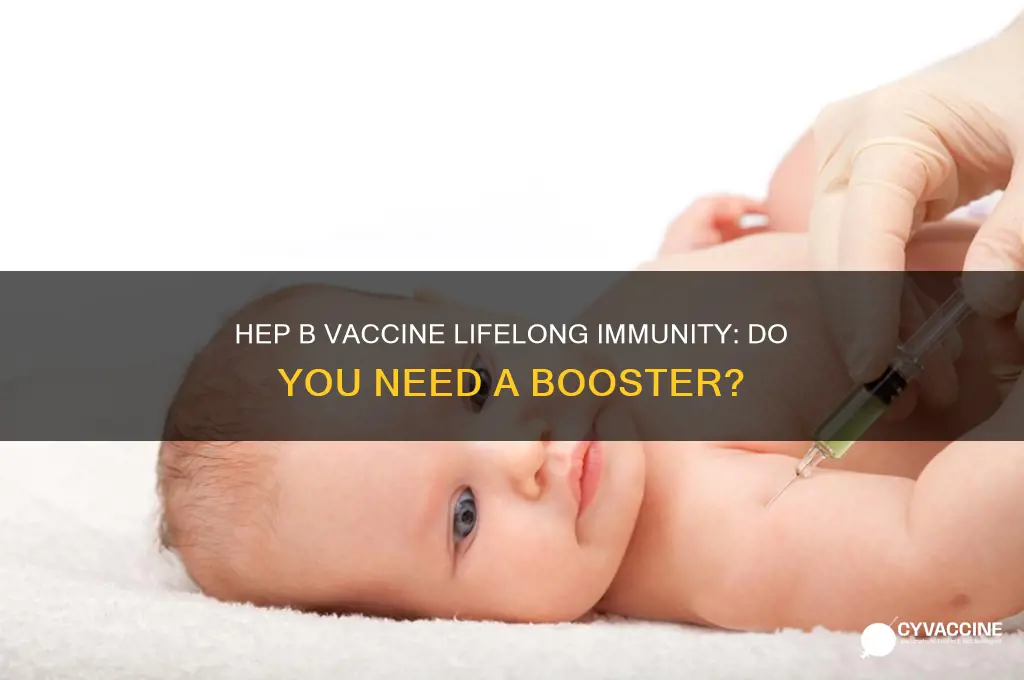 is hep b vaccine good for life booster