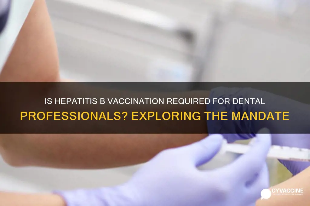 is hep b vaccine mandatory for dental professionals