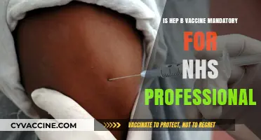 Is Hep B Vaccine Mandatory for NHS Professionals? Key Insights