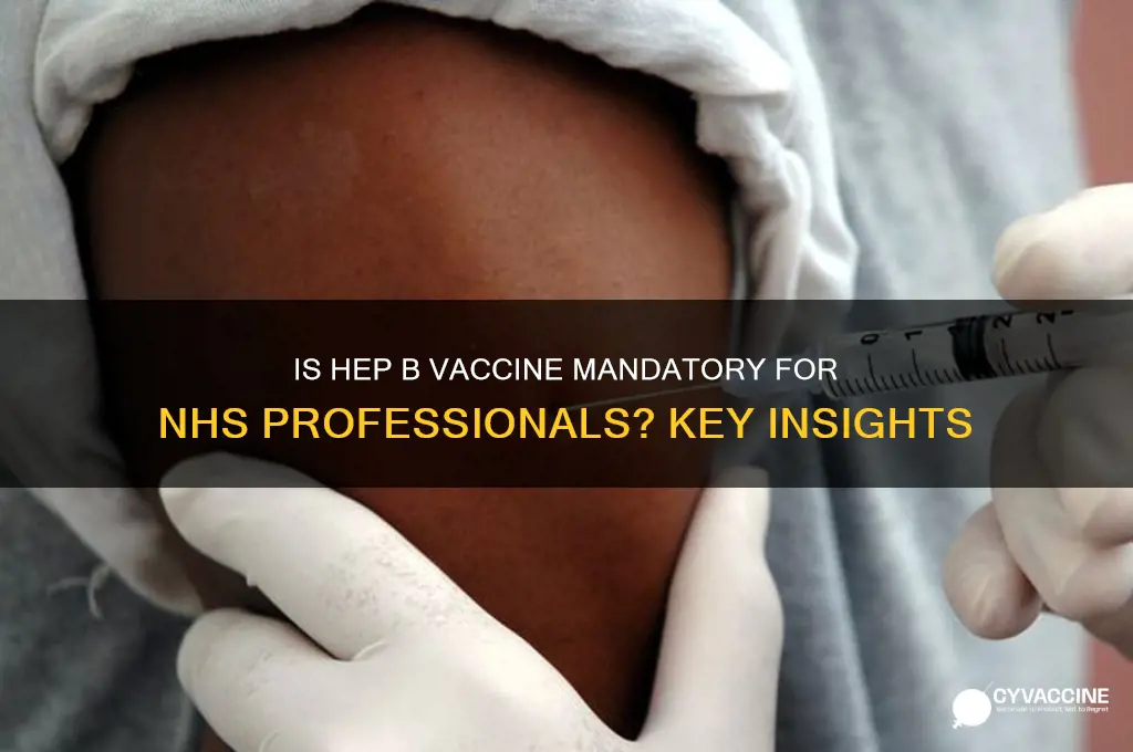 is hep b vaccine mandatory for nhs professionals