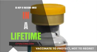 Hepatitis B Vaccine: Is One-Time Immunization Enough for Life?