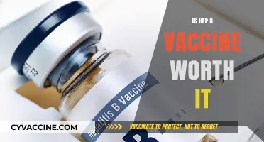 Evaluating the Benefits: Is the Hepatitis B Vaccine Worth It?