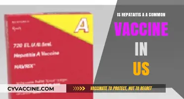 Is Hepatitis A Vaccination Common in the United States?