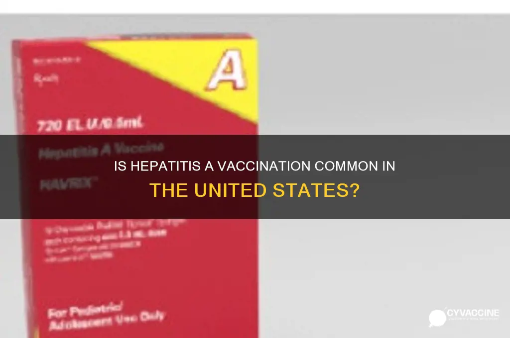 is hepataitis a a common vaccine in us