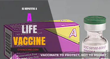 Lifelong Immunity: The Truth About Hepatitis A Vaccination
