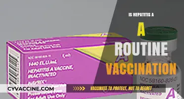 Hepatitis A Vaccination: Should It Be Part of Your Routine?