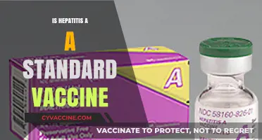 Exploring Hepatitis A: Is It a Standard Vaccine?