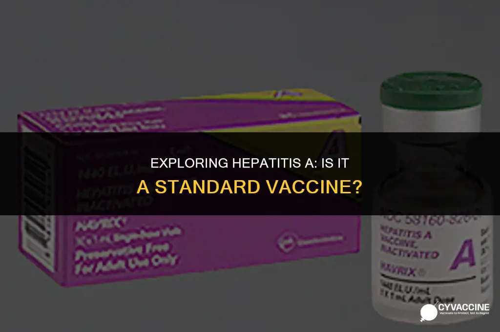 is hepatitis a a standard vaccine