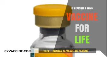 Hepatitis A and B Vaccines: Lifelong Immunity or Booster Needed?